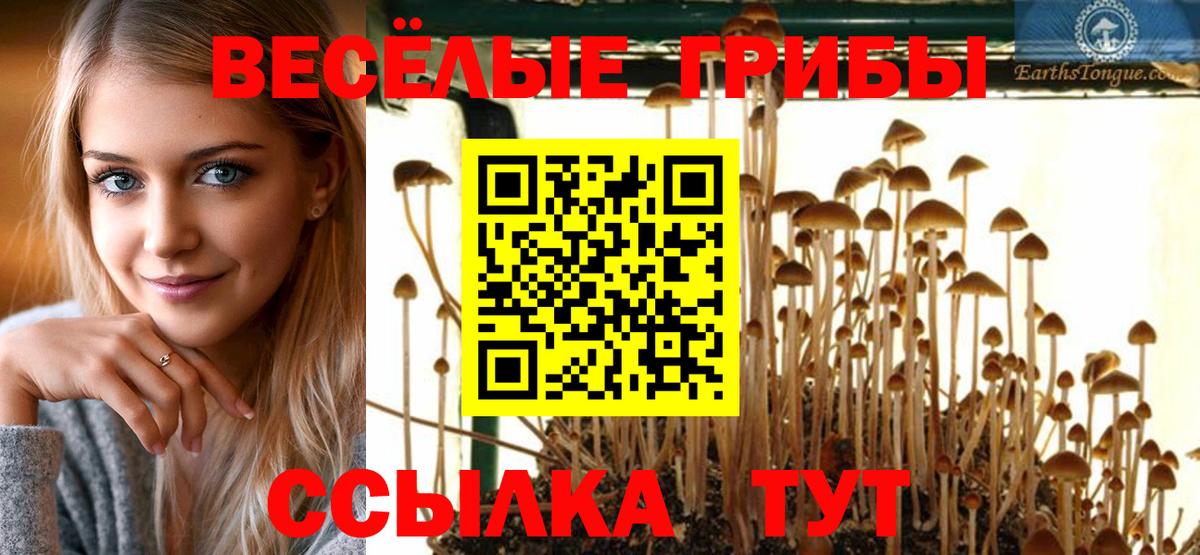 Псилоцибиновые грибы GOLDEN TEACHER Петропавловск-Камчатский